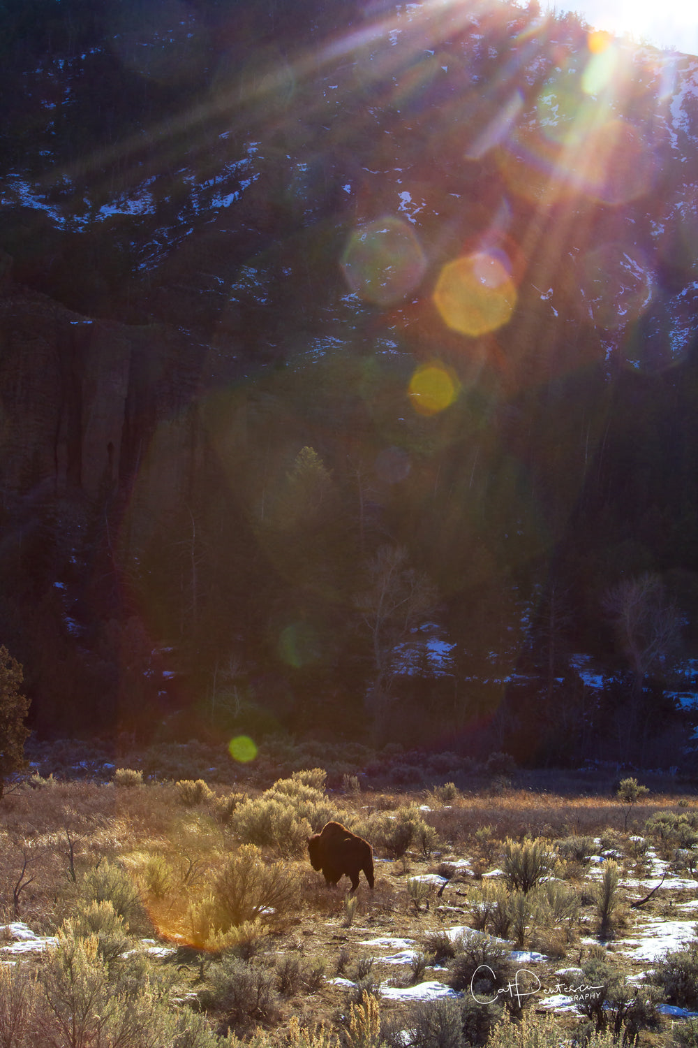 MAGICAL LIGHT