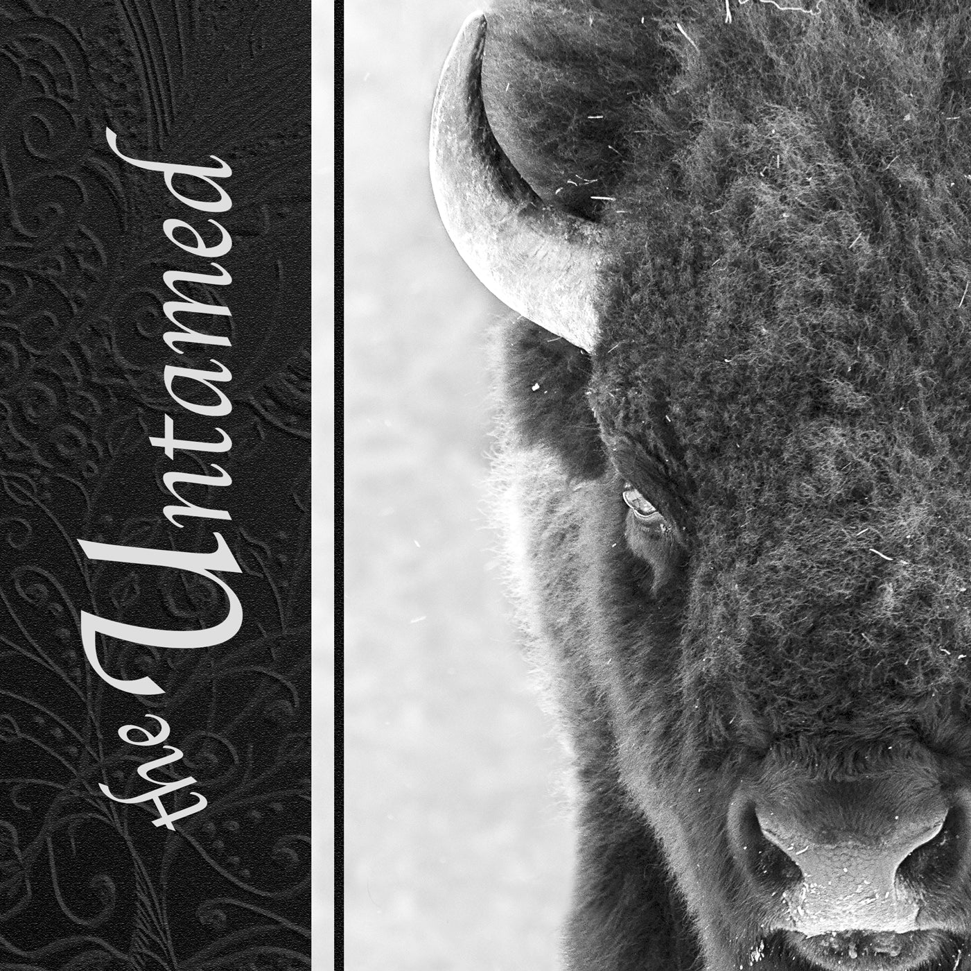 THE UNTAMED