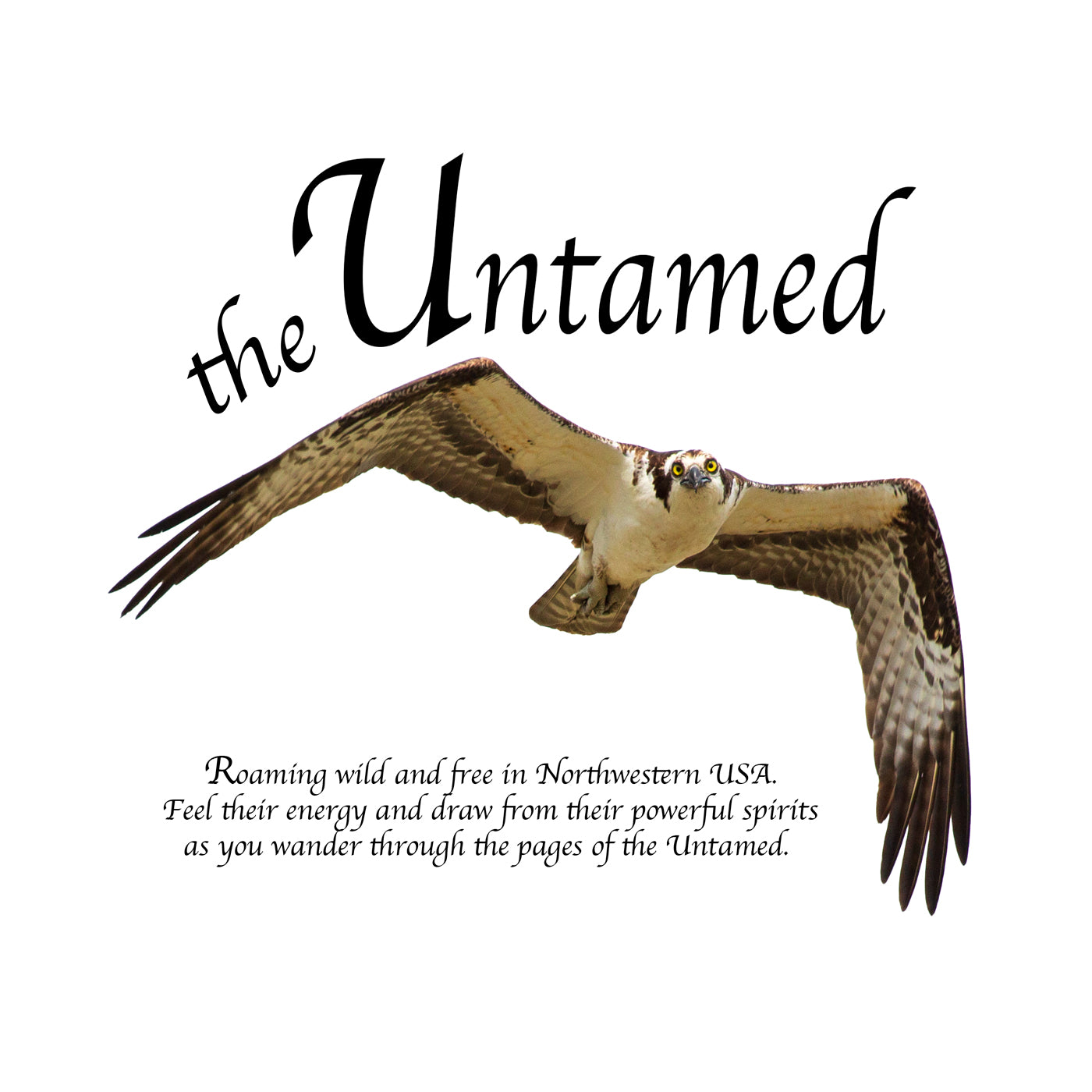 THE UNTAMED