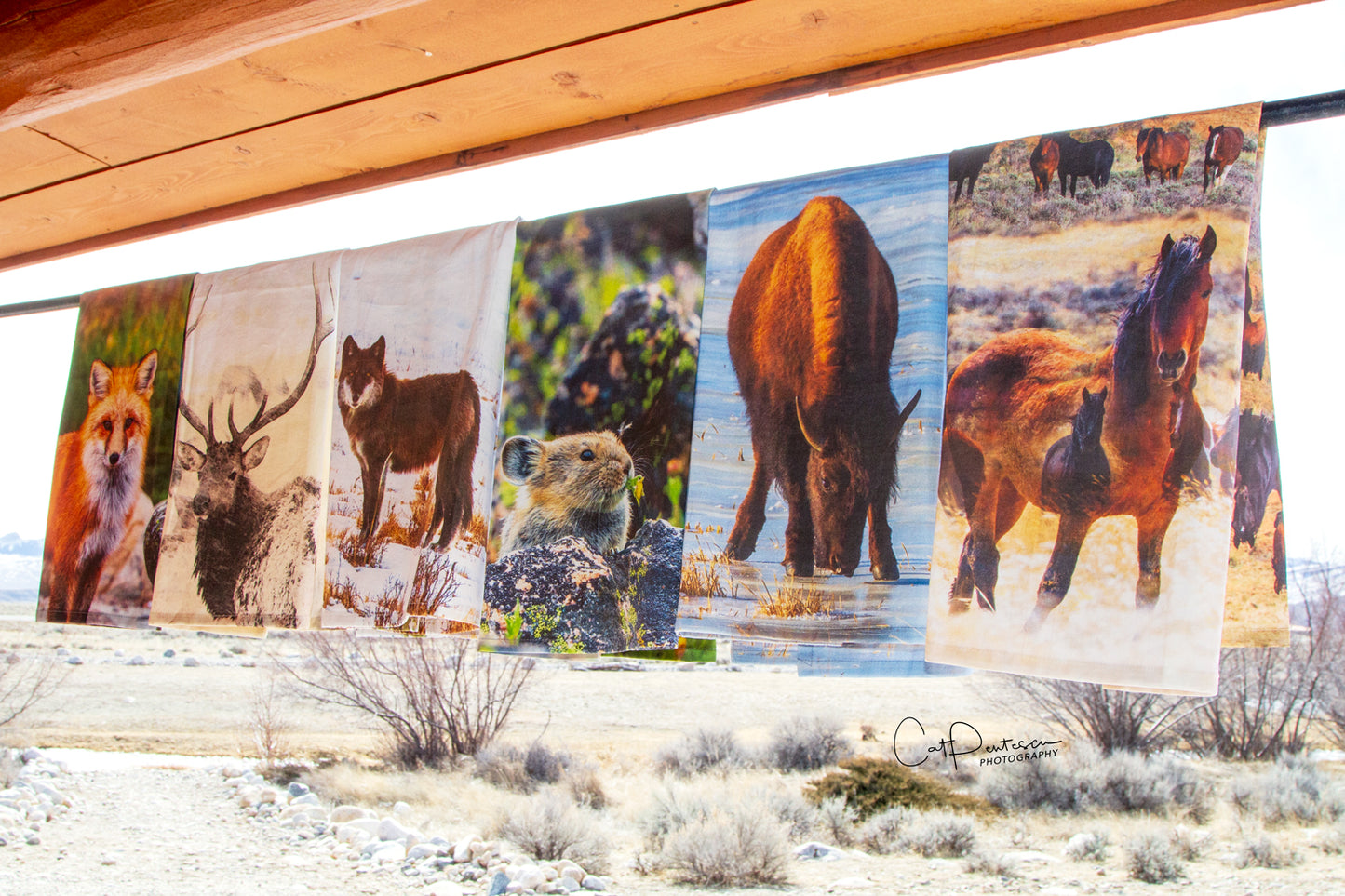 WILD WINTER - ELK FLOUR SACK TOWEL