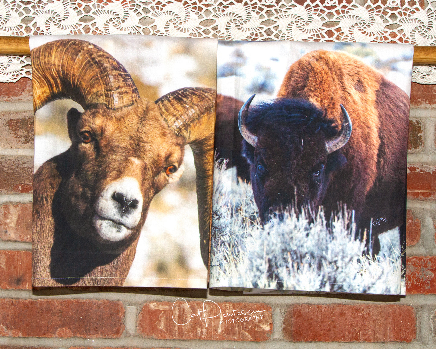 BIGHORN RAMS FLOUR SACK TOWEL