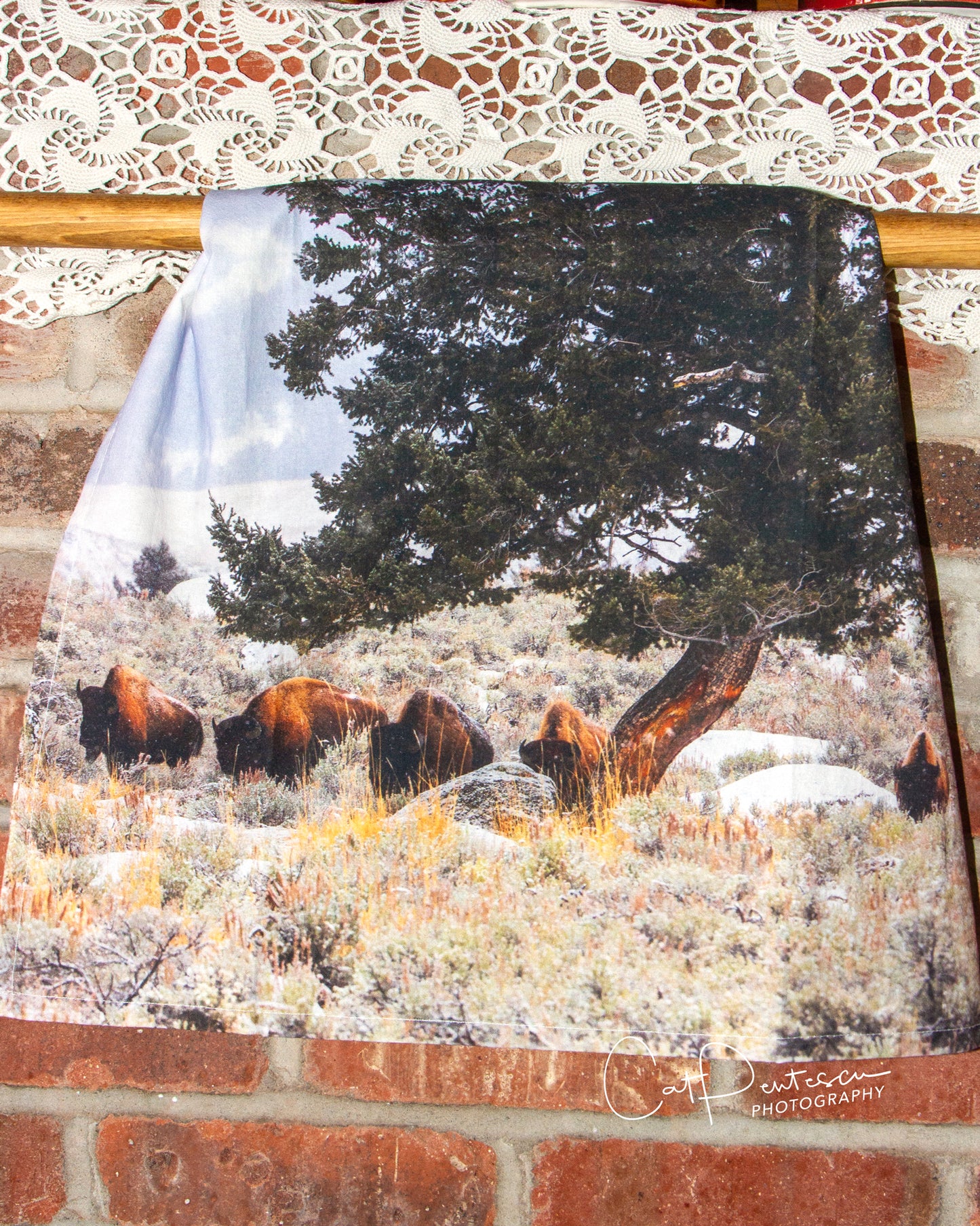 WALKING WILD FLOUR SACK TOWEL