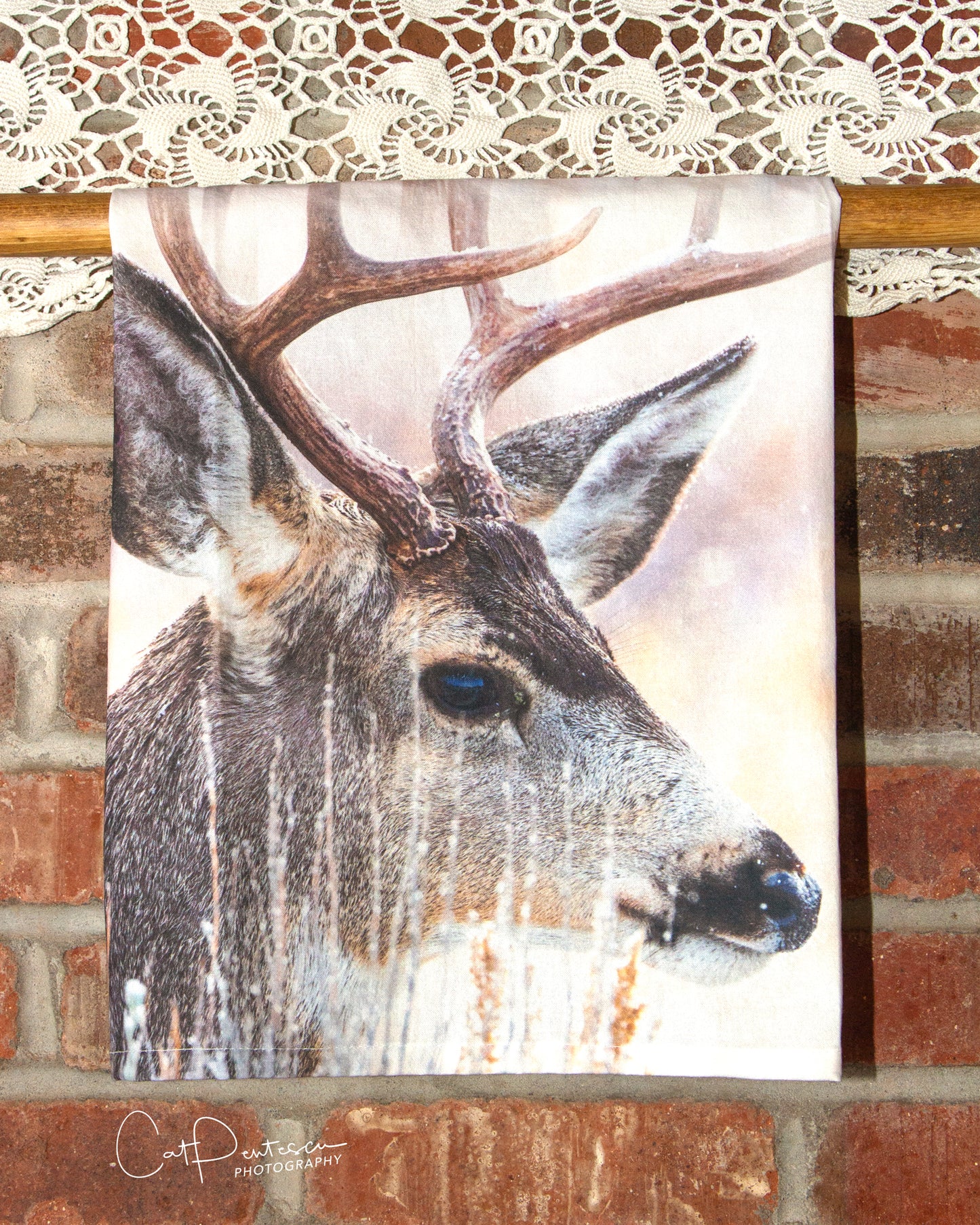 FOUR POINT MULEY FLOUR SACK TOWEL