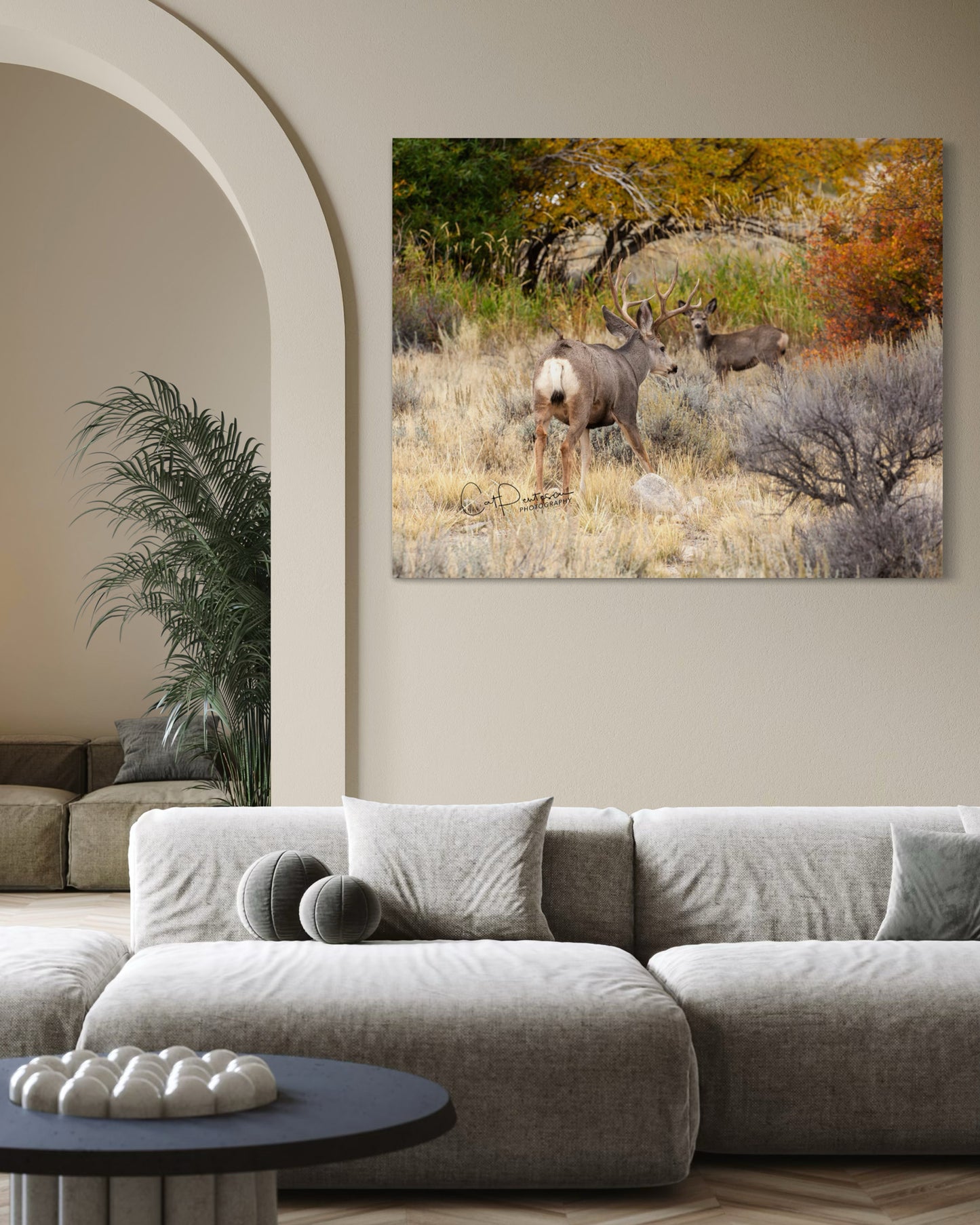 AUTUMN ANTLERS