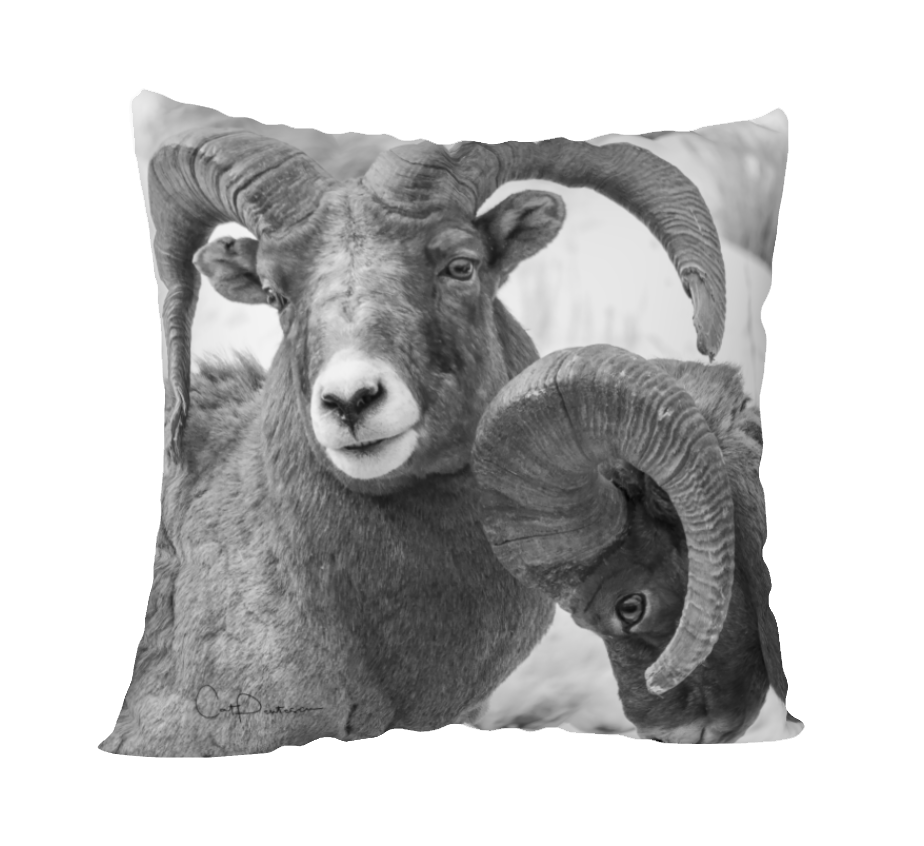 BIGHORN BOYS ACCENT PILLOW COVER