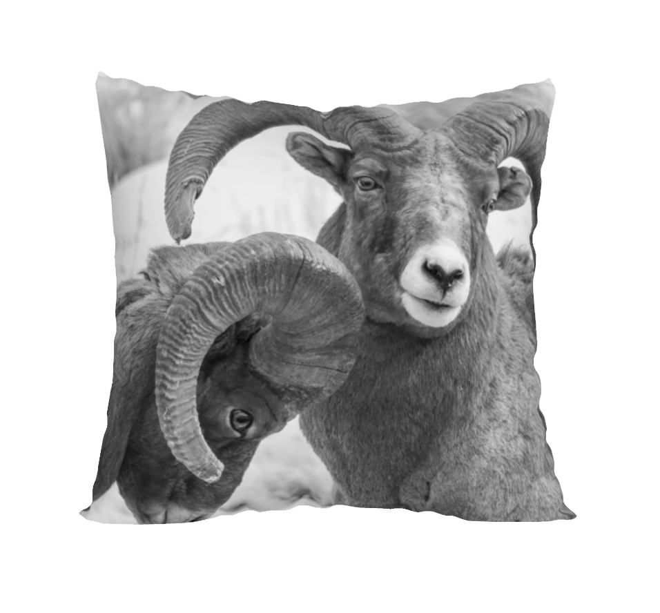 BIGHORN BOYS ACCENT PILLOW COVER