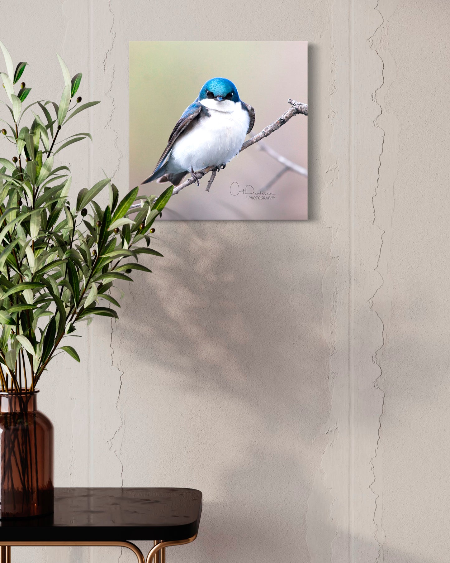 BIRDATUDE