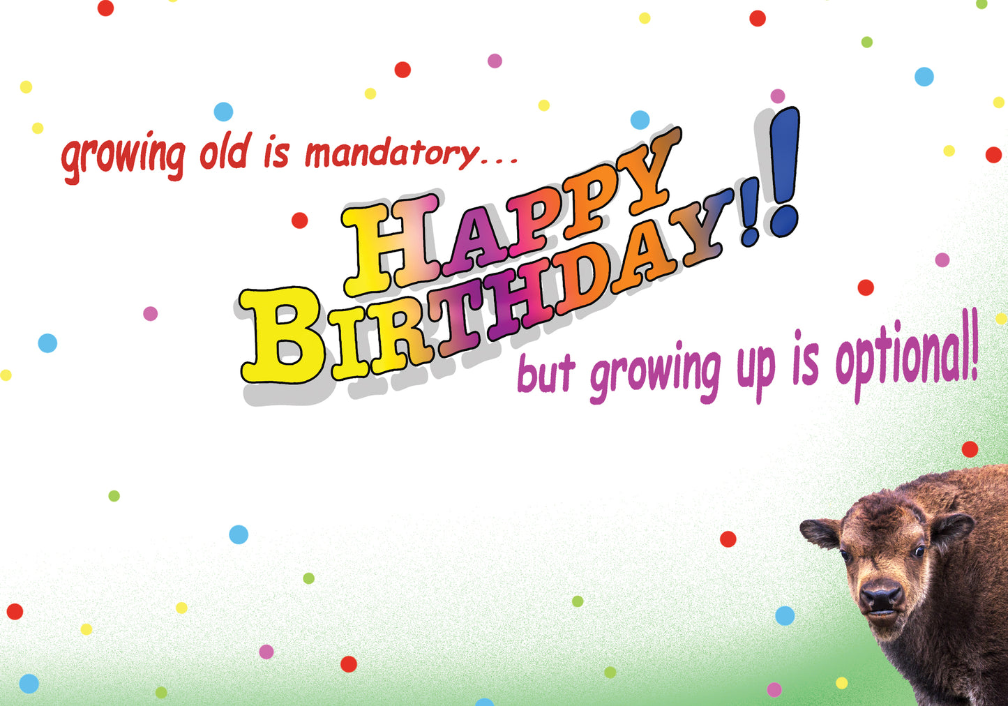 Birthday Card for those that MAY NEVER GROW UP!