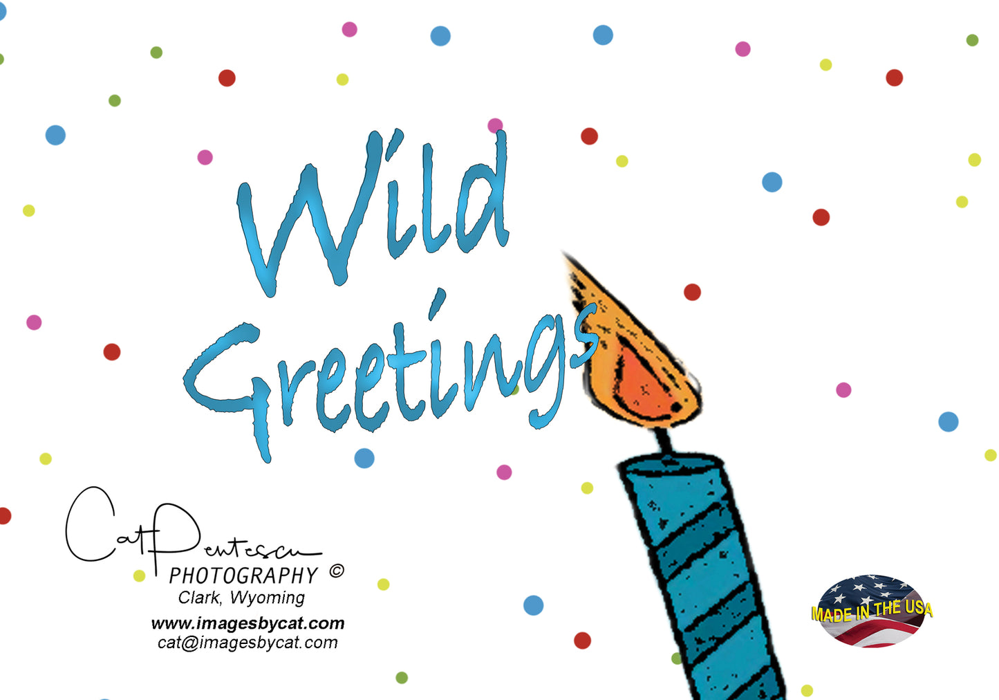 A SQUIRRELY Birthday Card
