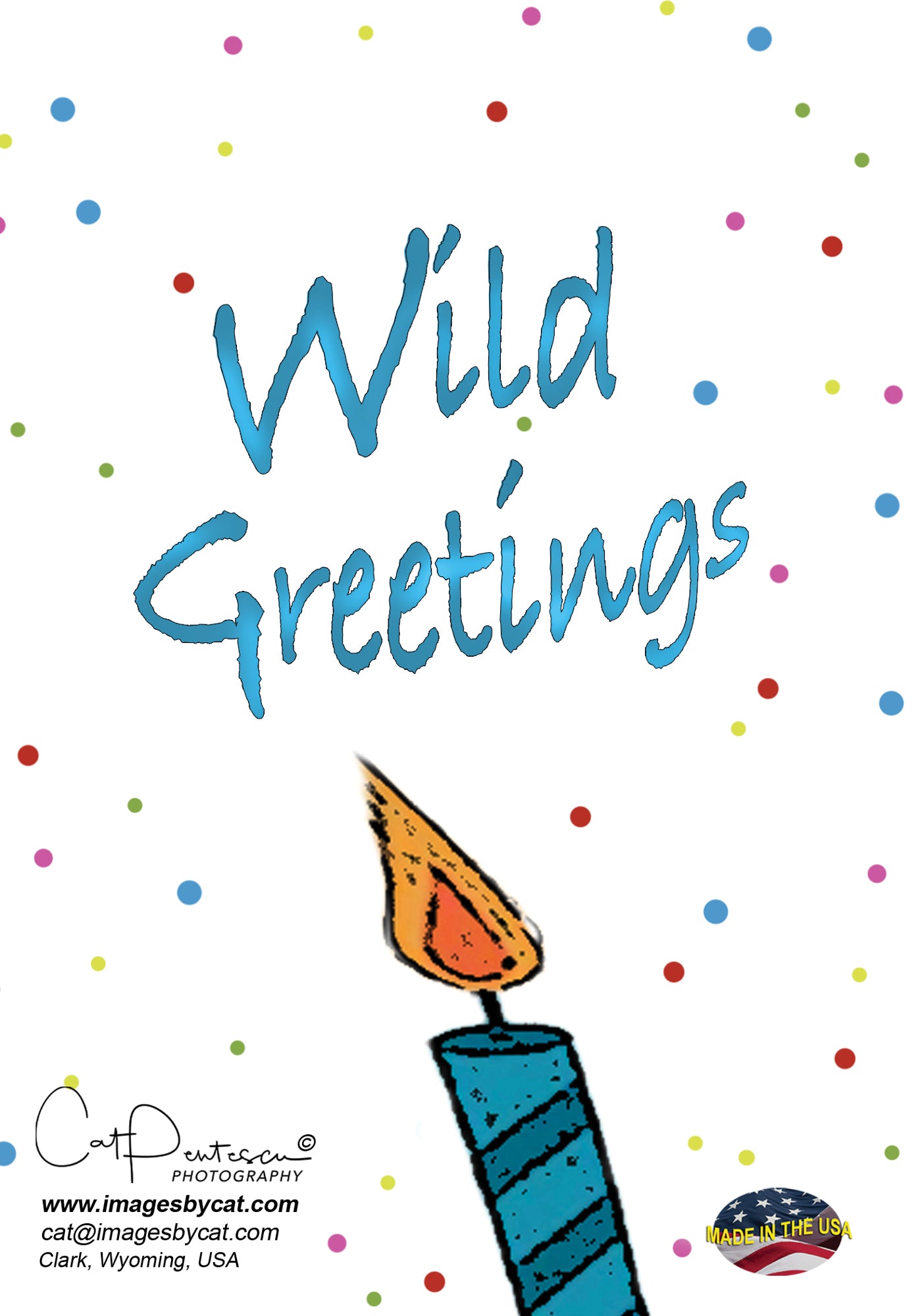 BUFFALO LOVER's Birthday Cake Card