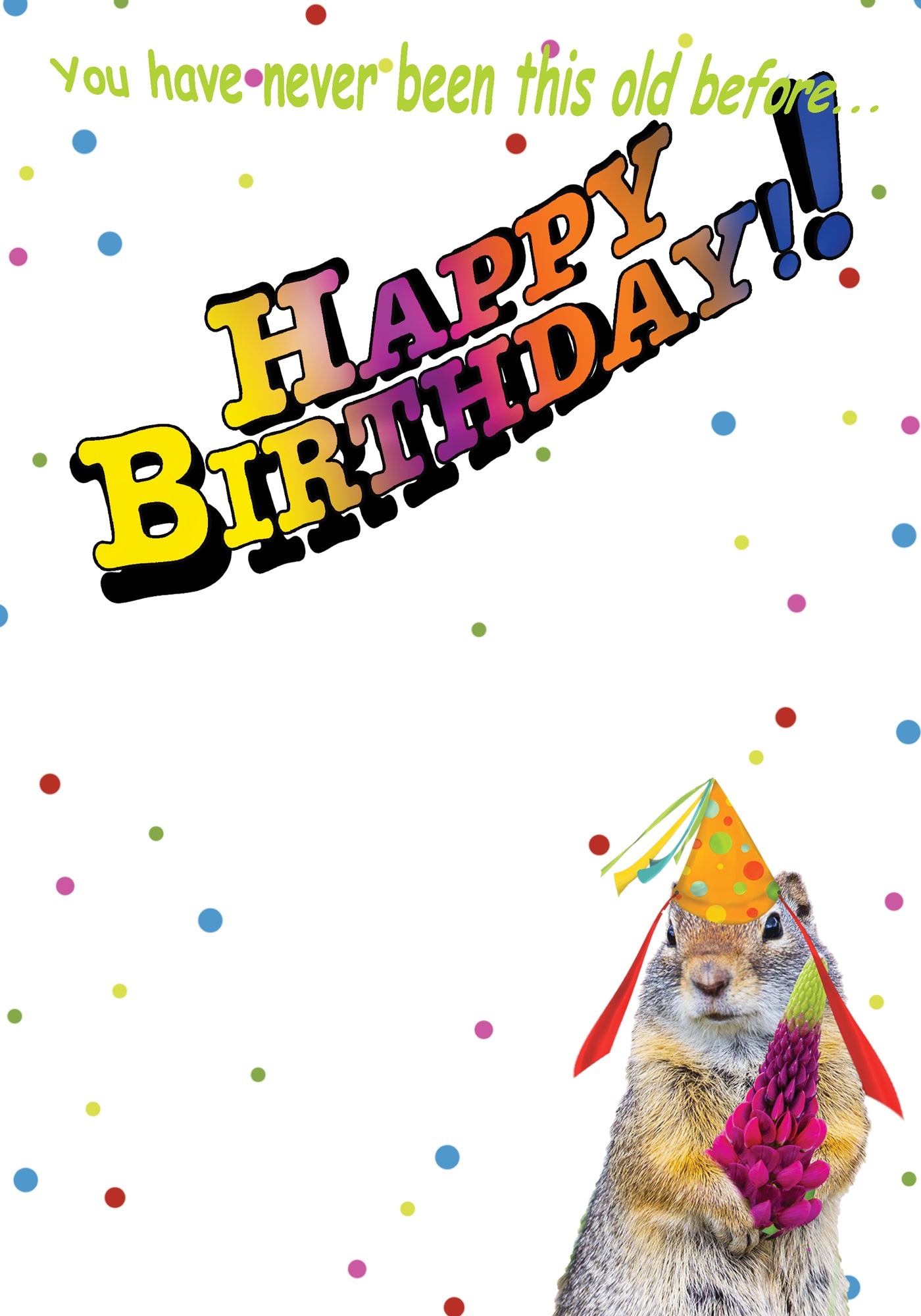 A SQUIRRELY Birthday Card