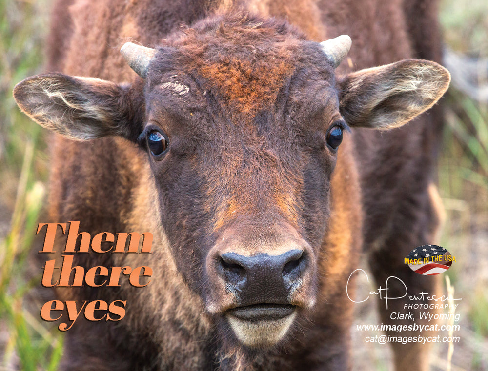 Note Cards - THEM THERE EYES