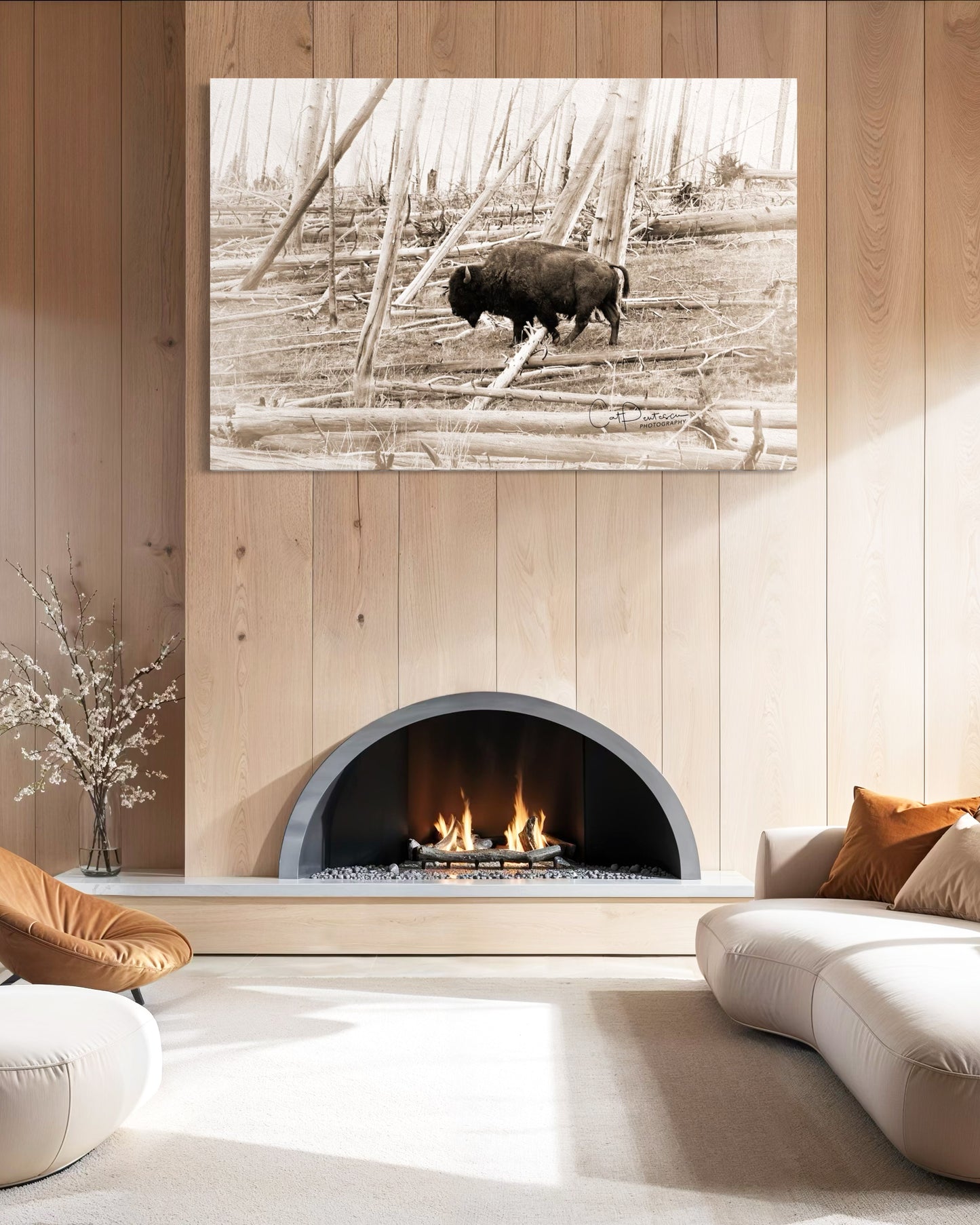 FIRED FOREST