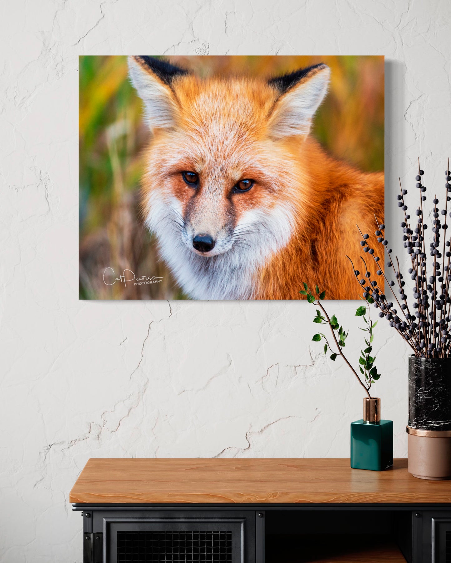FOXY