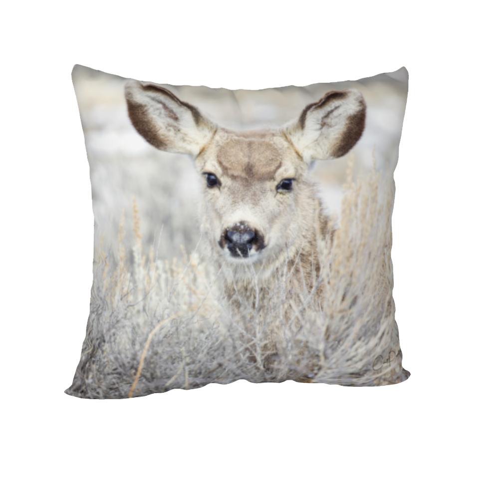 INNOCENCE ACCENT PILLOW COVER