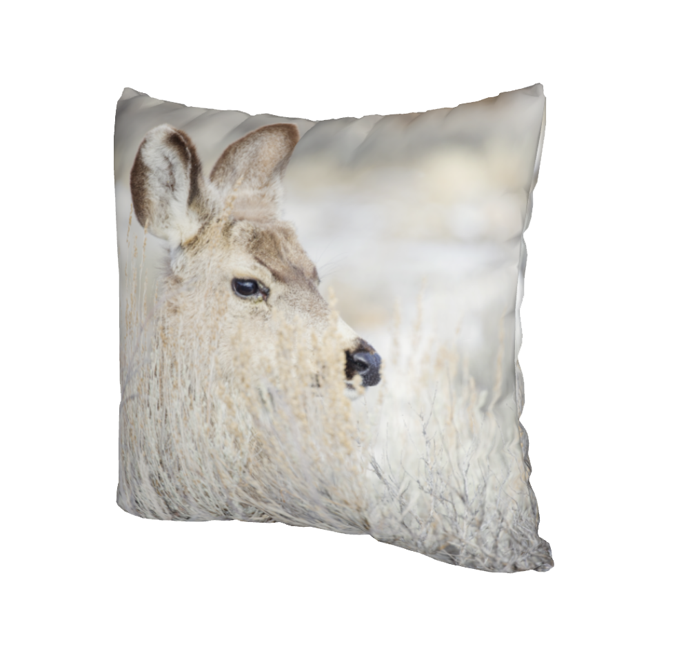 INNOCENCE ACCENT PILLOW COVER