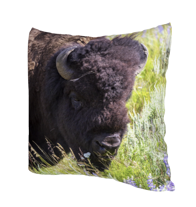 LUPINE LAD ACCENT PILLOW COVER