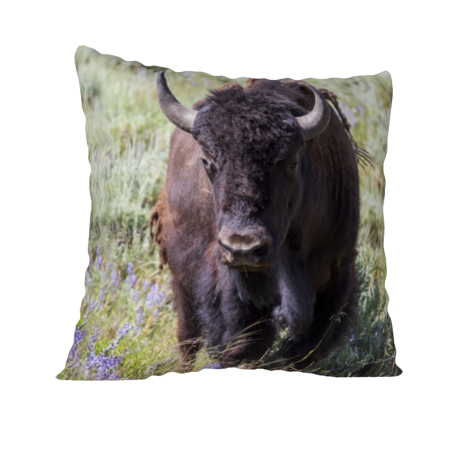 LUPINE LADY ACCENT PILLOW COVER