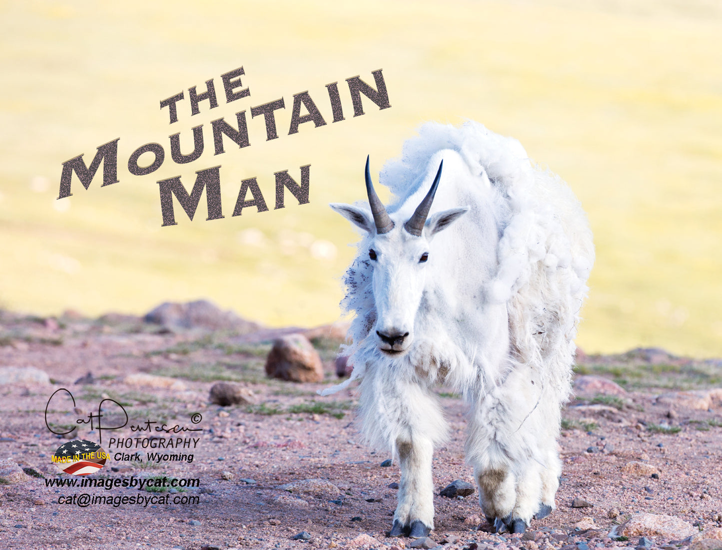 Note Cards - THE MOUNTAIN MAN