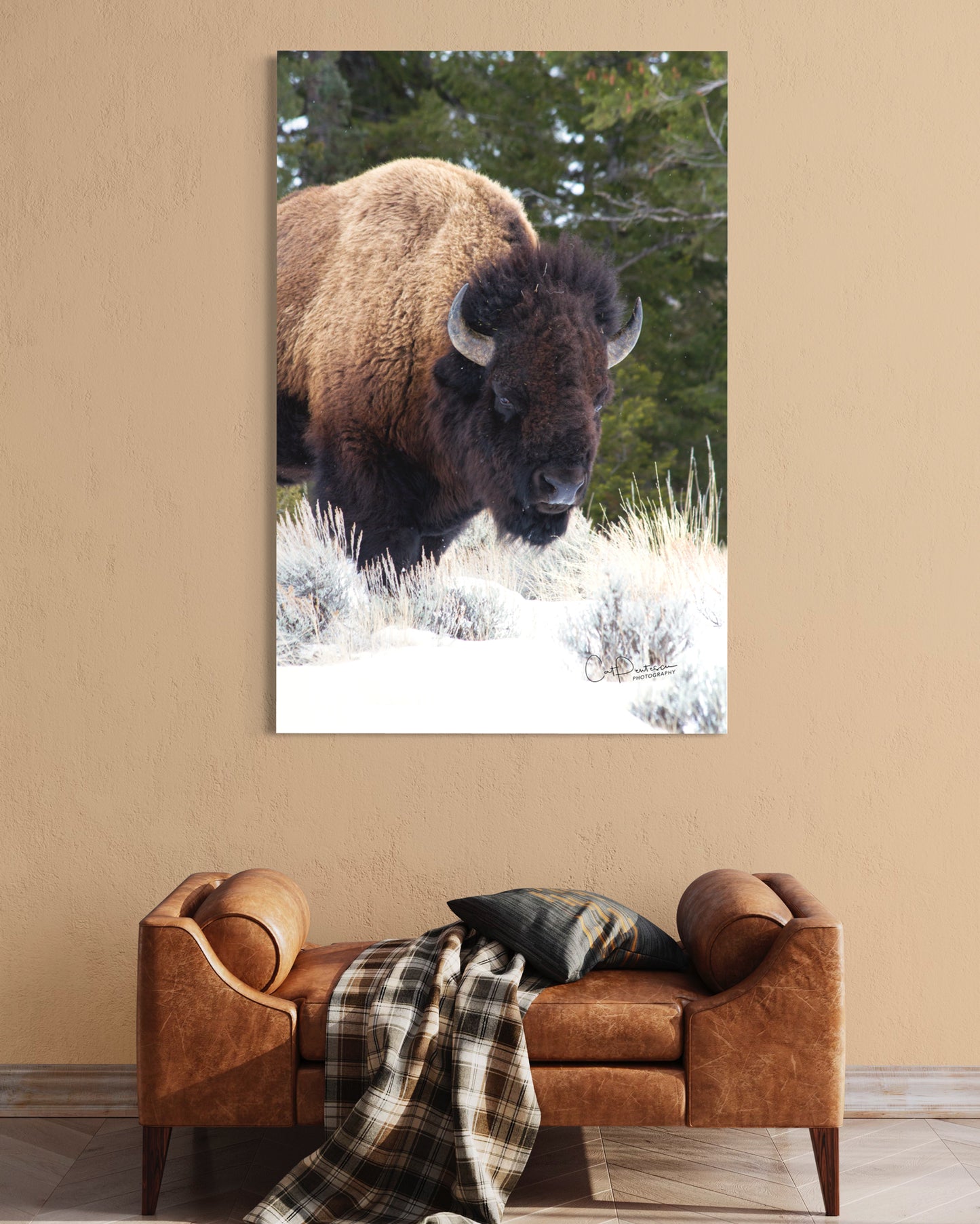 MISTER BISON