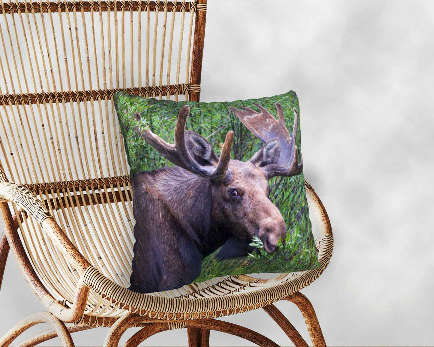 MUNCHING LUNCH ACCENT PILLOW COVER