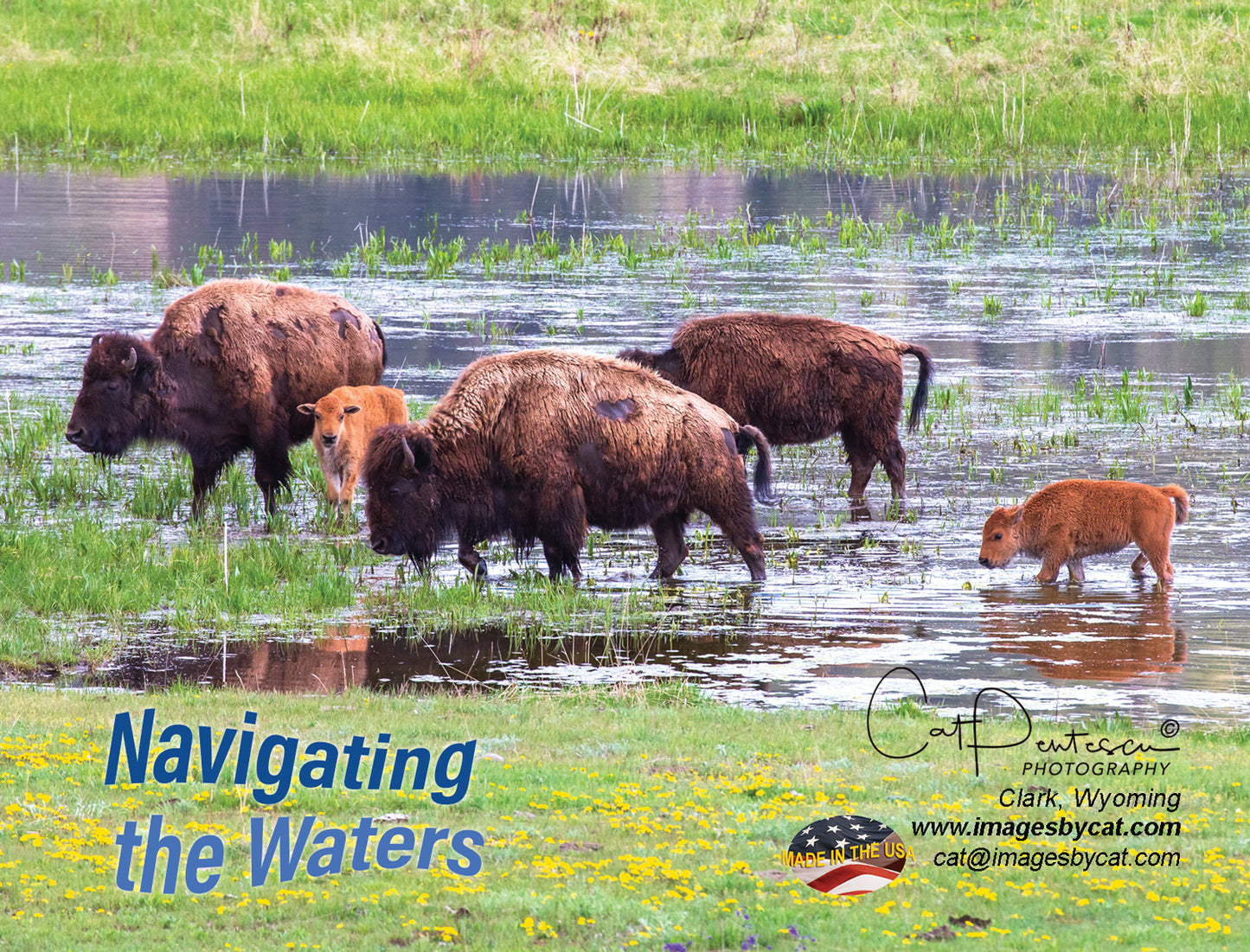 Note Cards - NAVIGATING THE WATERS