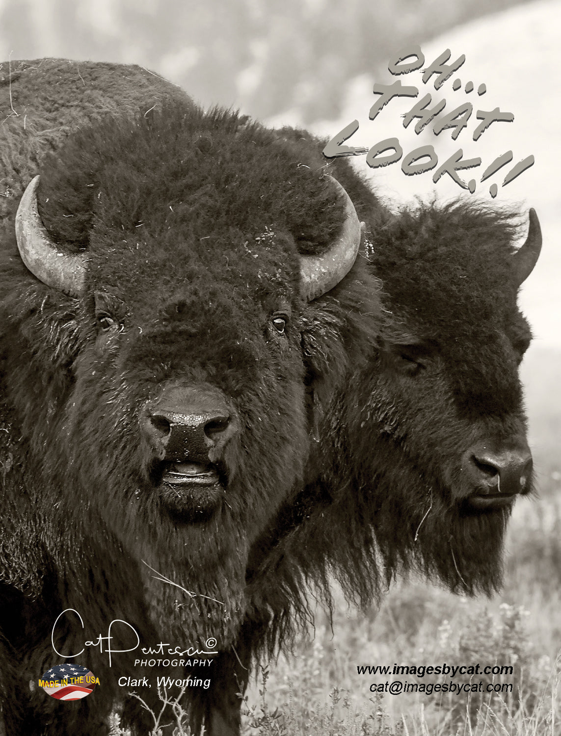 Note Cards - OH THAT LOOK!