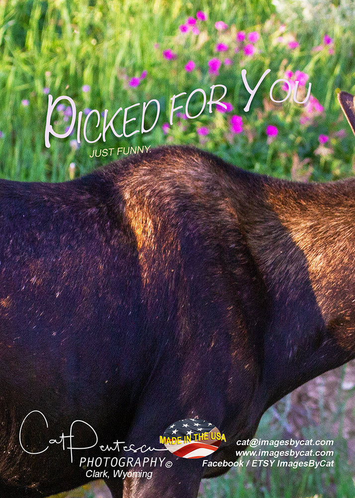 Greeting Card - PICKED FOR YOU