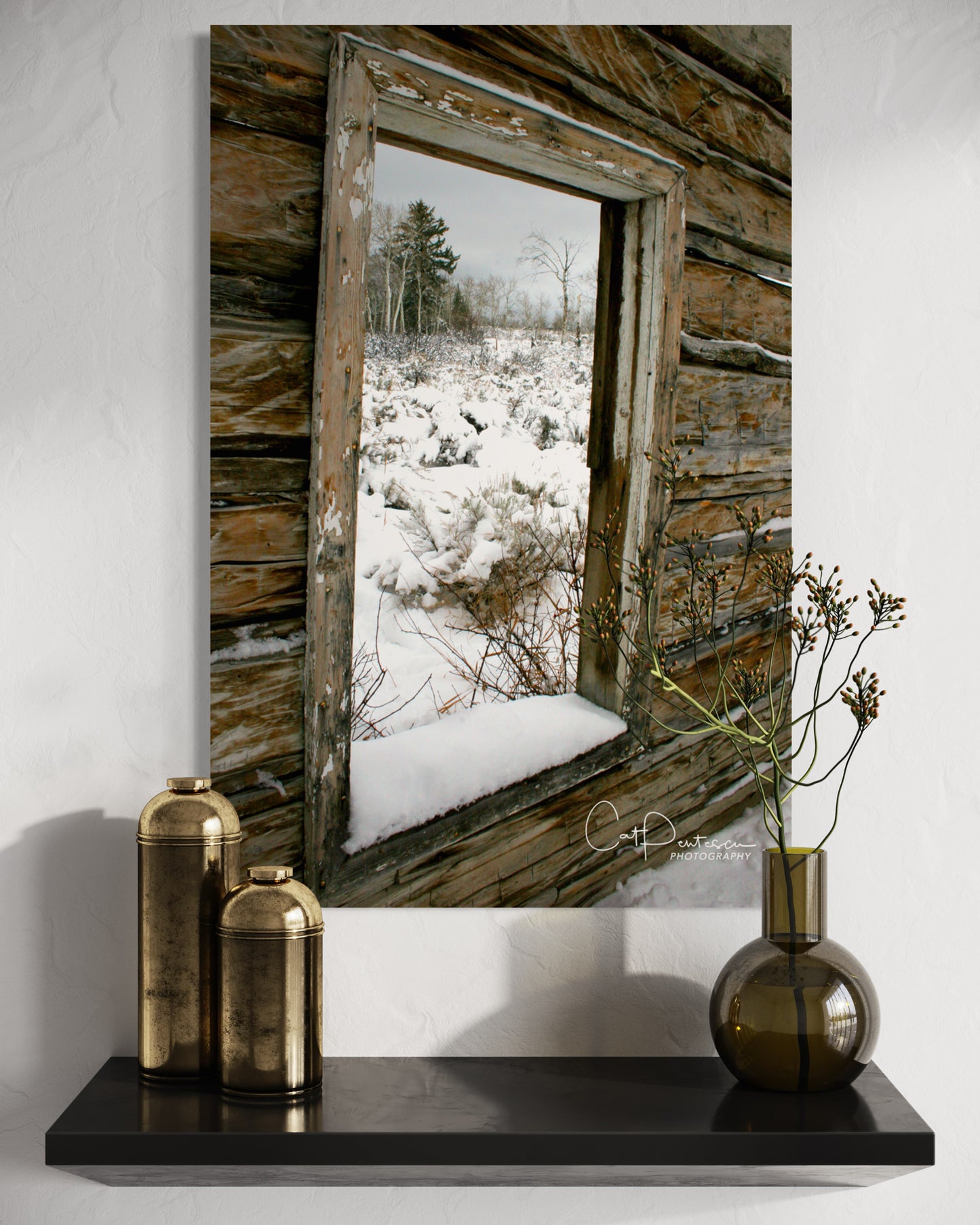 PICTURE WINDOW