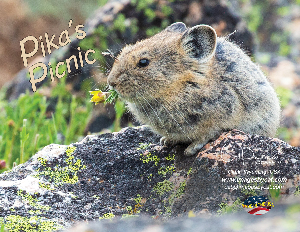 Note Cards - PIKA'S PICNIC