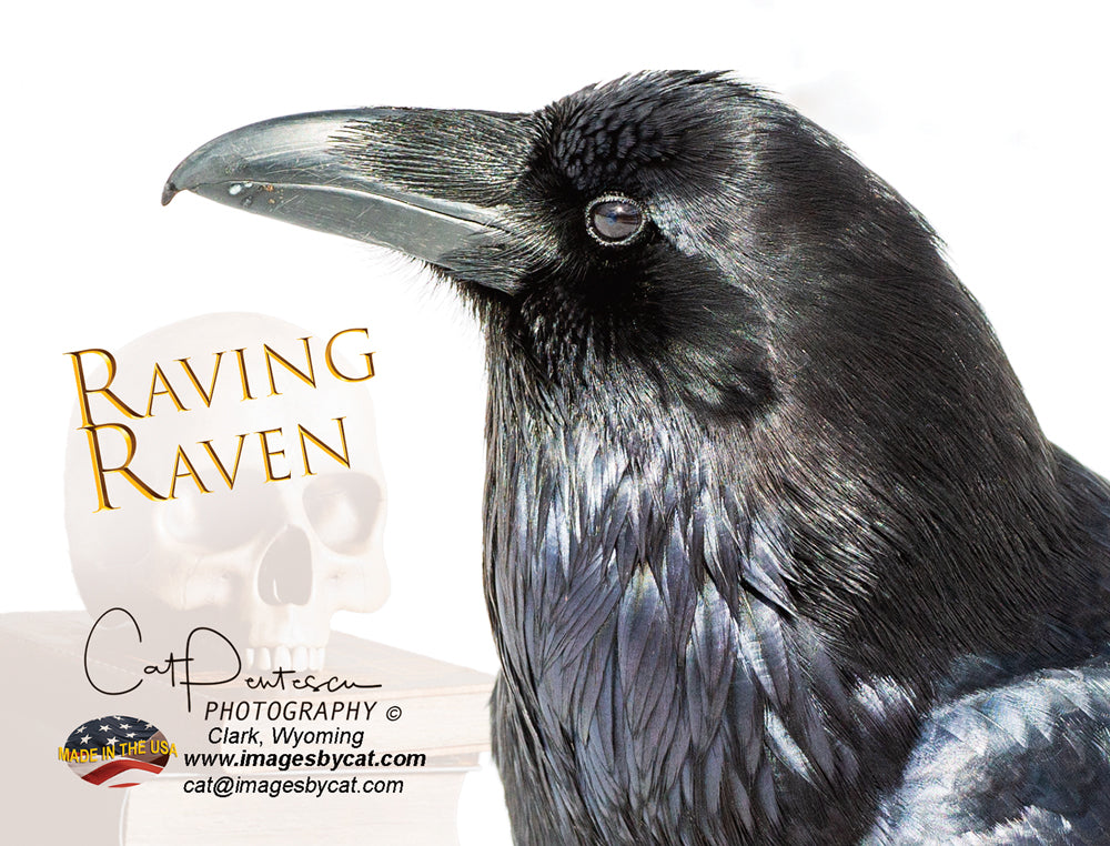 Note Cards - RAVING RAVEN