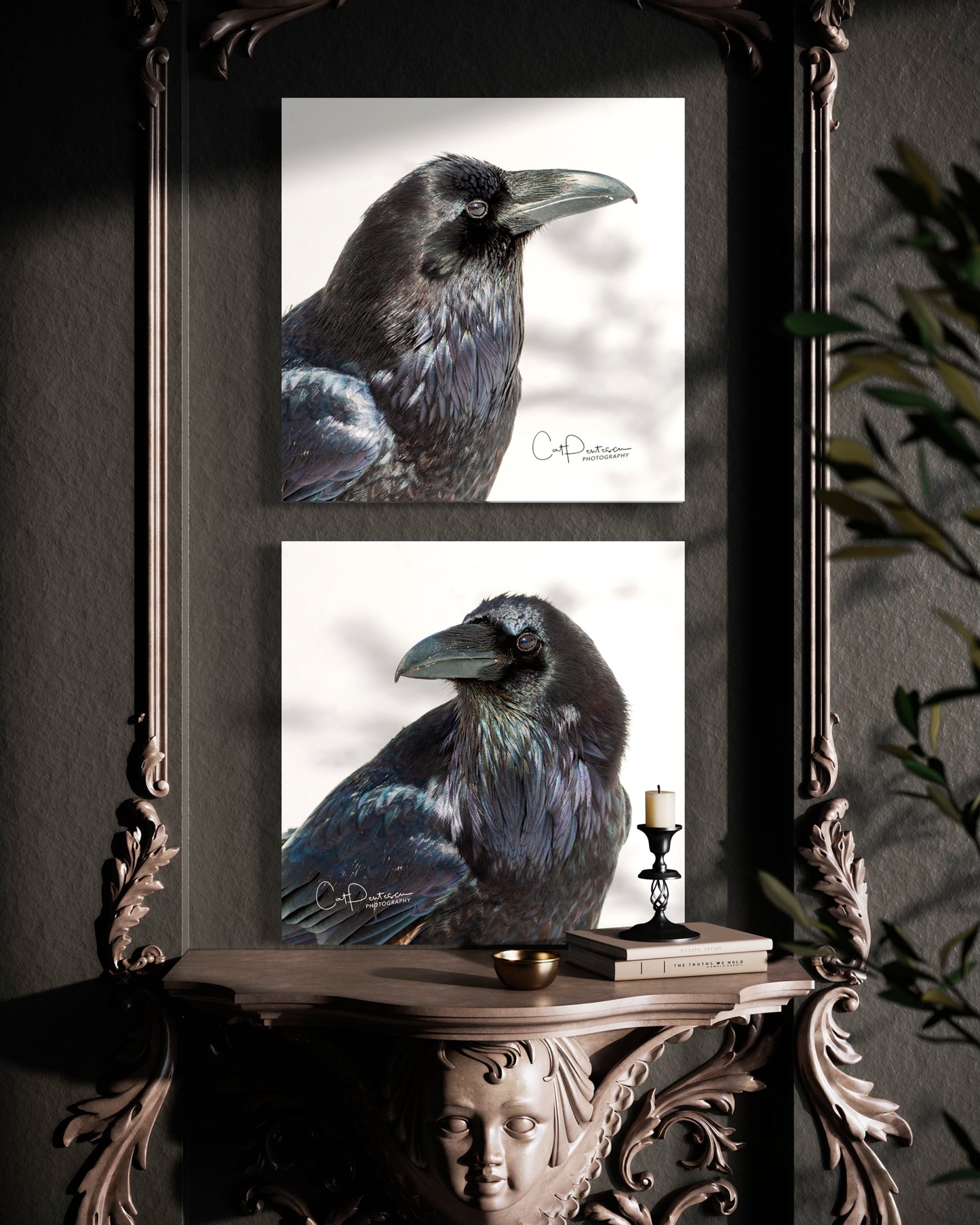 BLACK BIRD