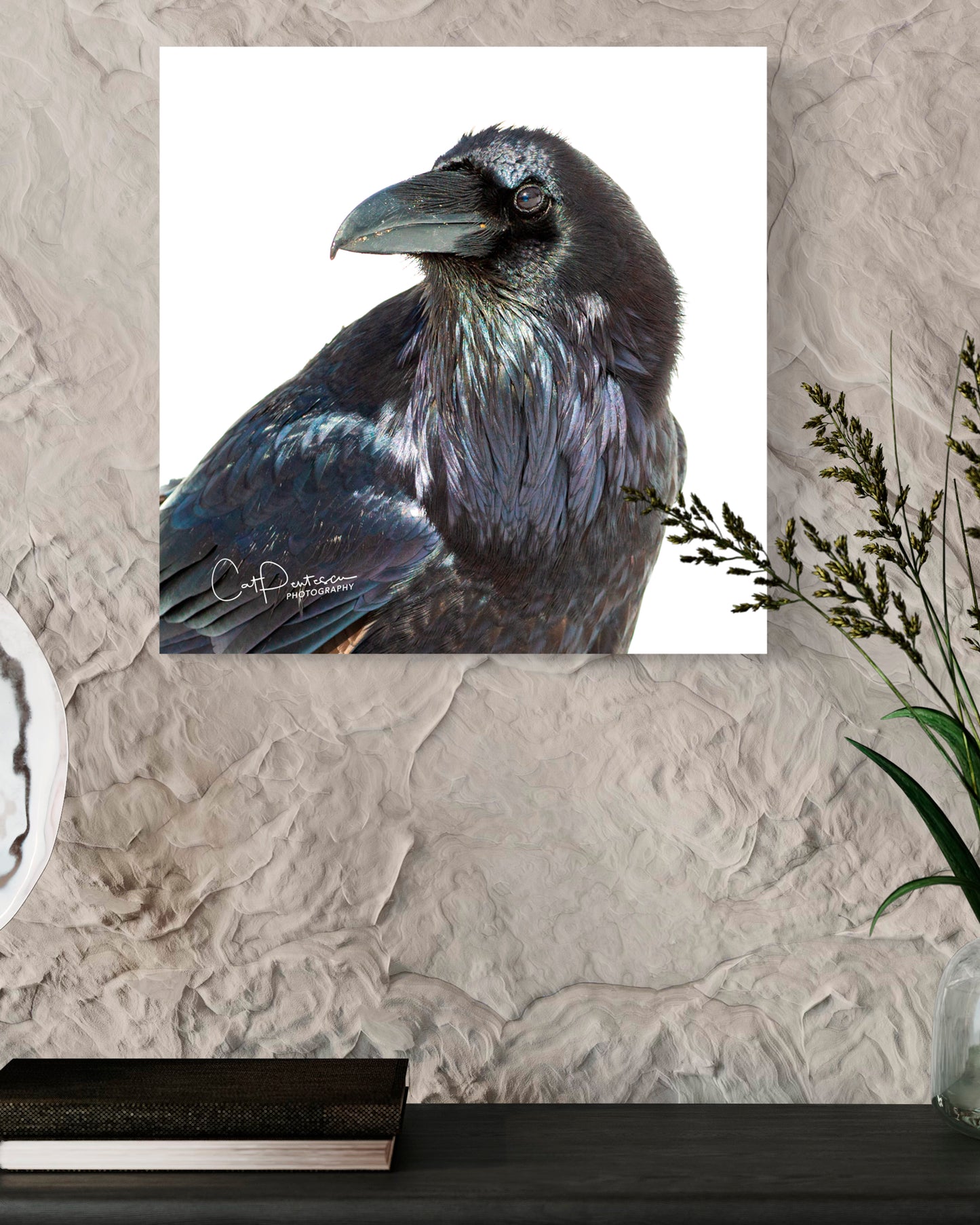 THE RAVEN