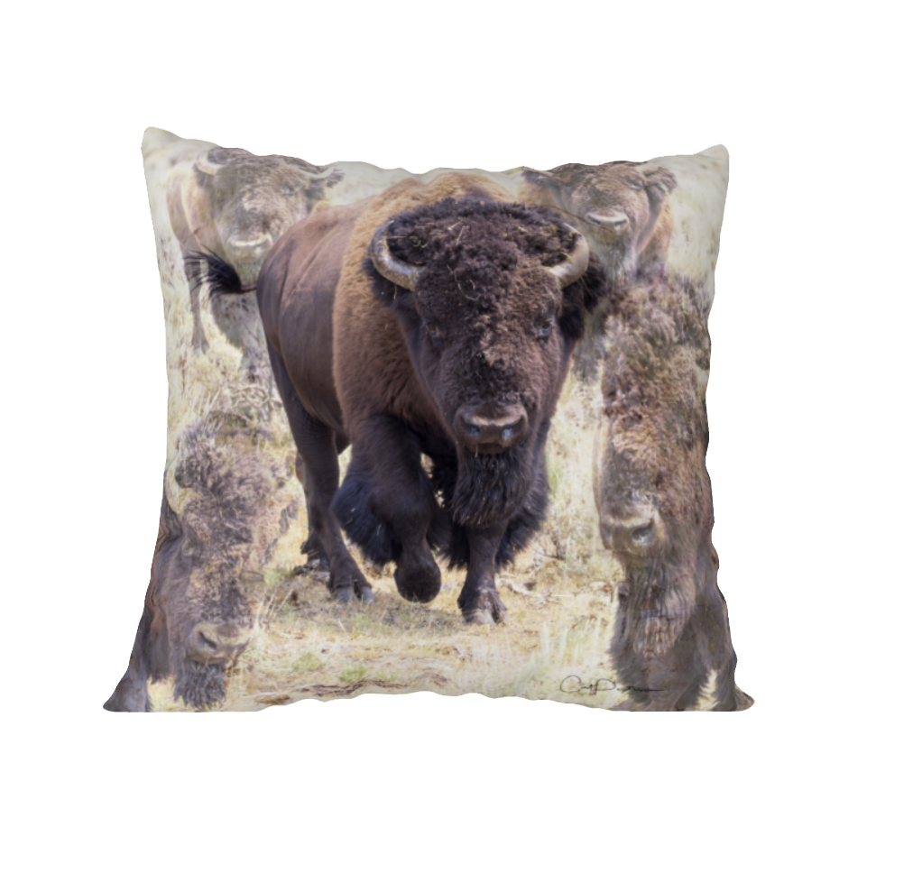 SPIRIT OF TATANKA ACCENT PILLOW COVER