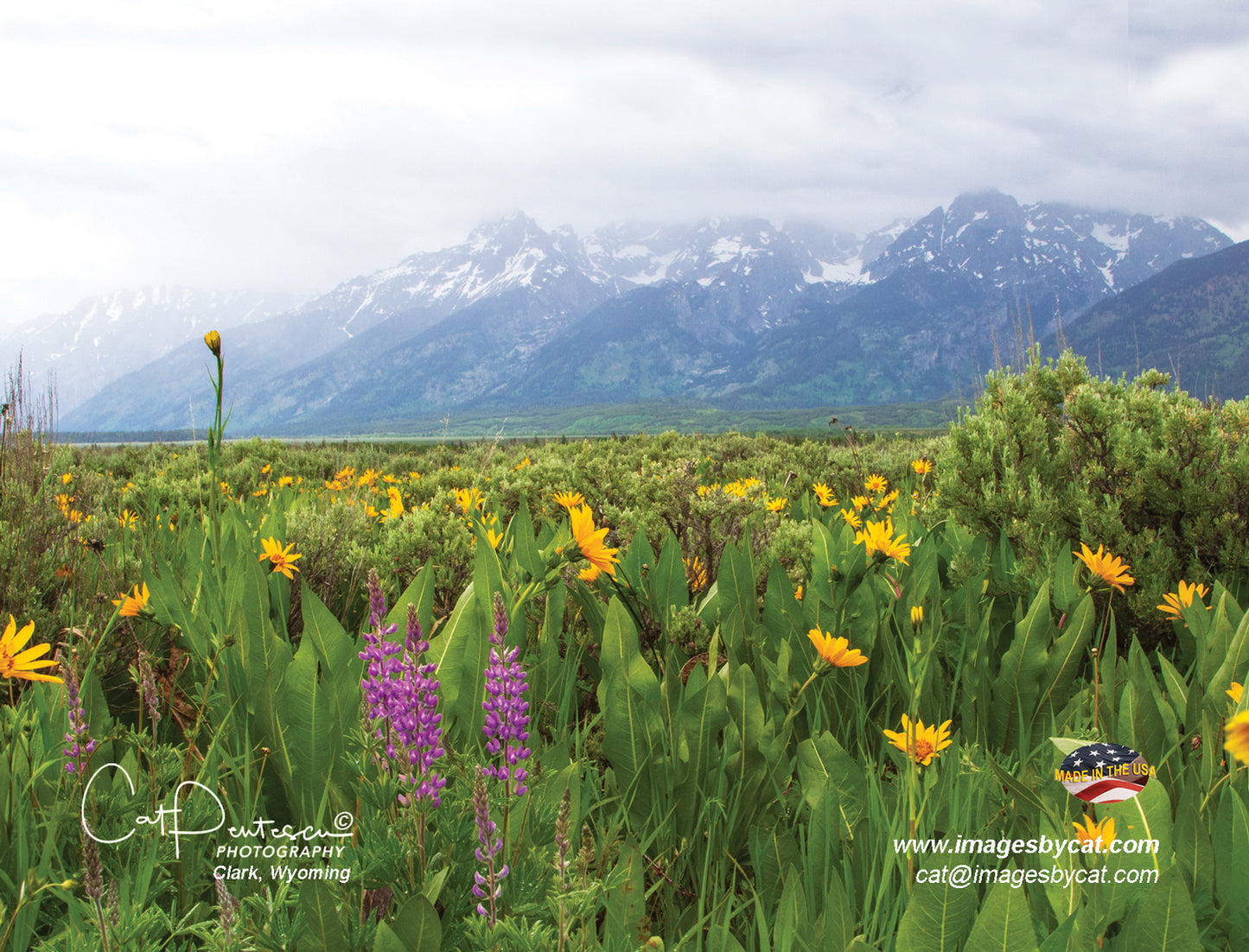 Note Cards - TETON FLOWERS ~ Thank You Cards