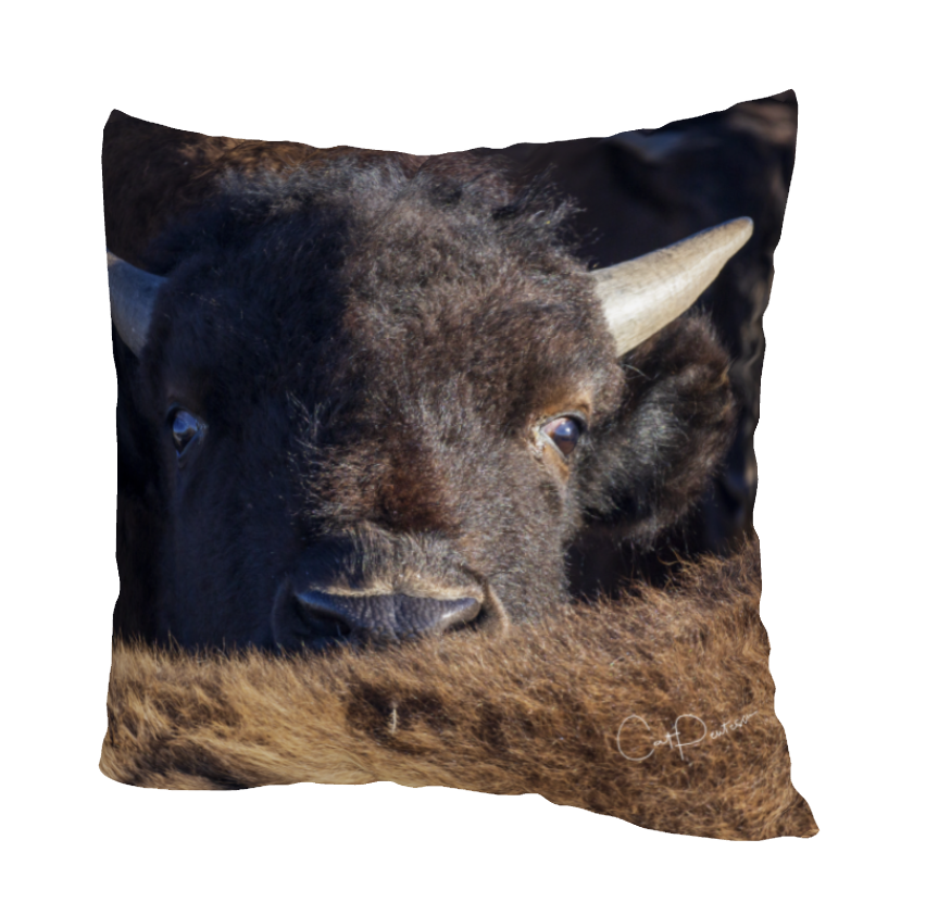 WHATCHA DOIN' ACCENT PILLOW COVER