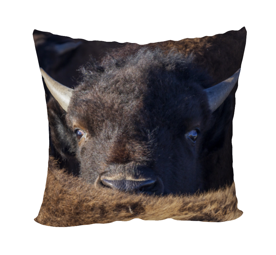 WHATCHA DOIN' ACCENT PILLOW COVER