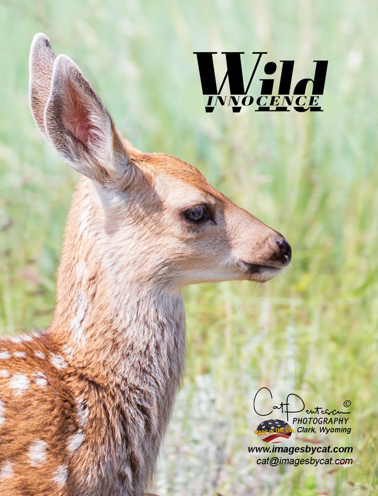 Note Cards - WILD INNOCENCE