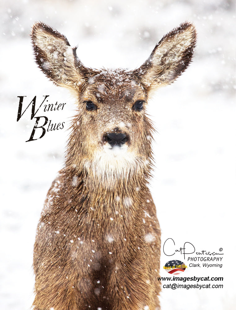 Note Cards - WINTER BLUES