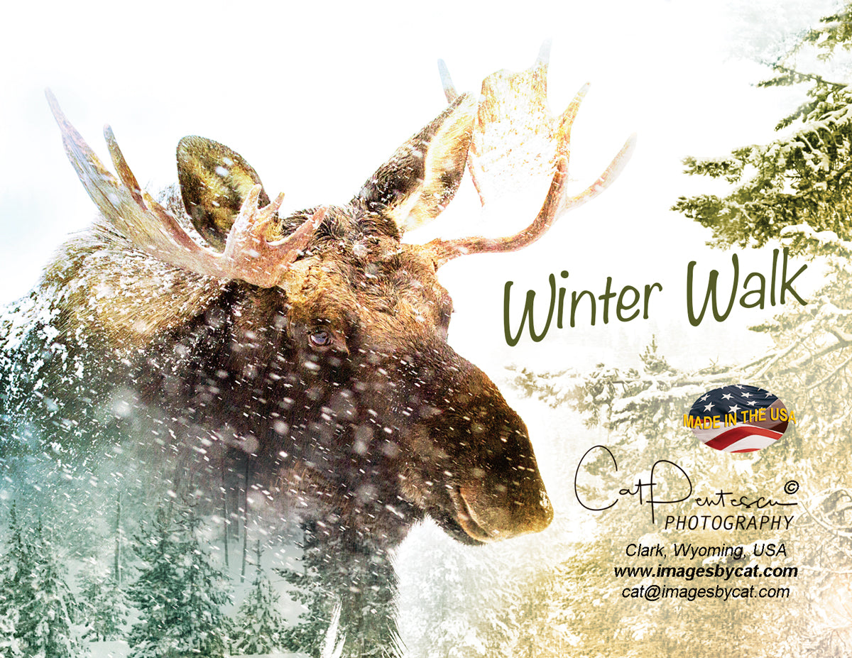 Note Cards - WINTER WALK