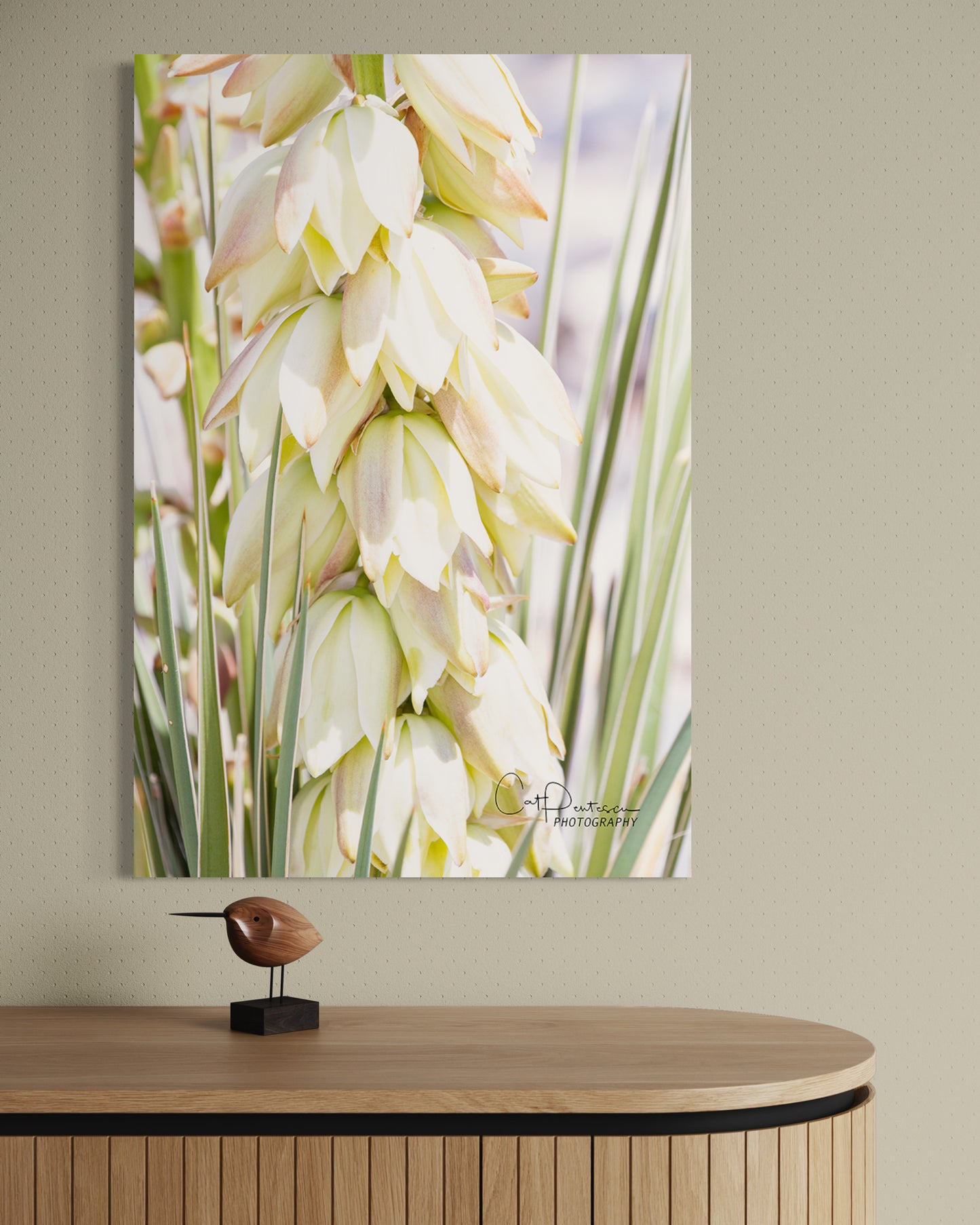 YUCCA BLOOMS