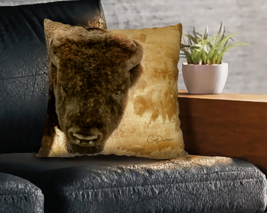 OH BUFFALO ACCENT PILLOW COVER