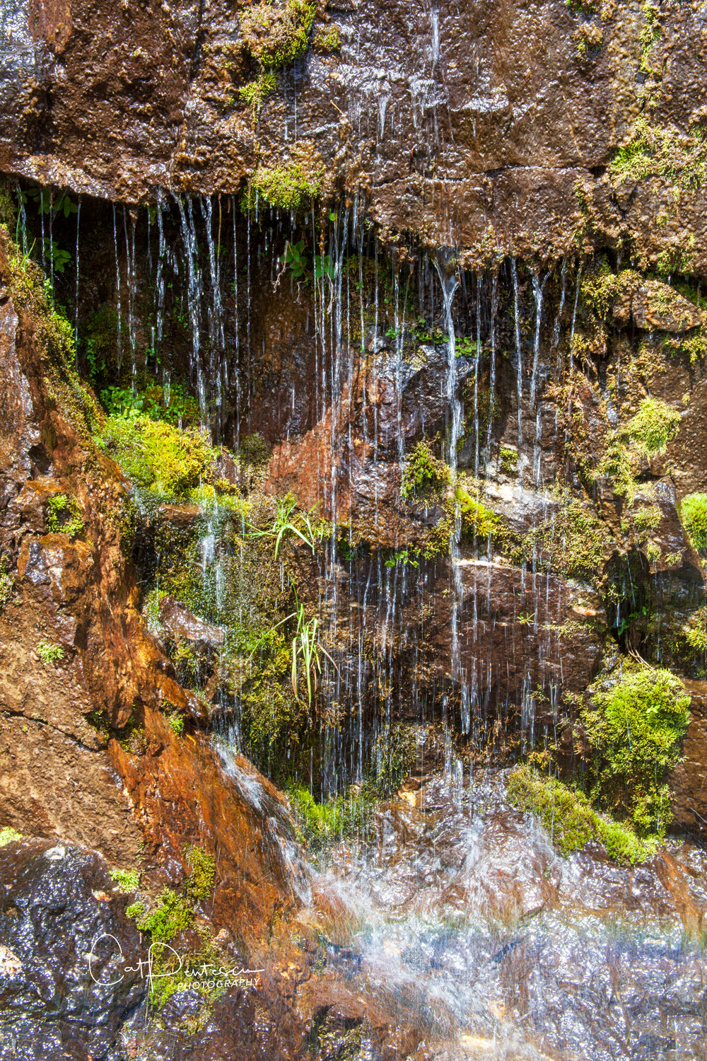 FALLING WATER
