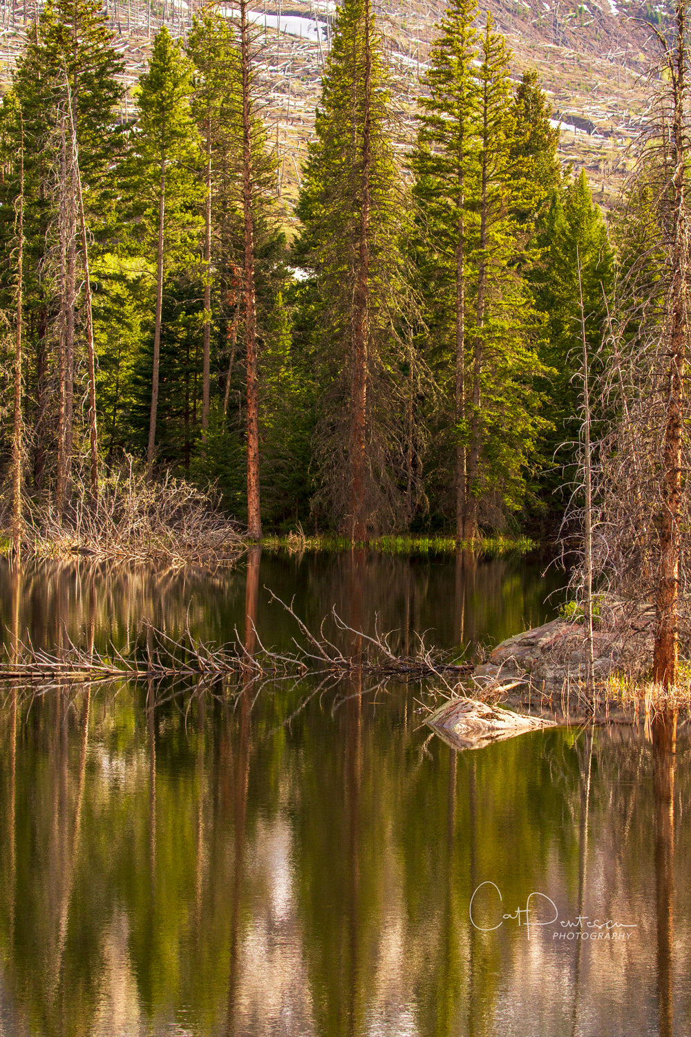 A PEACEFUL PLACE