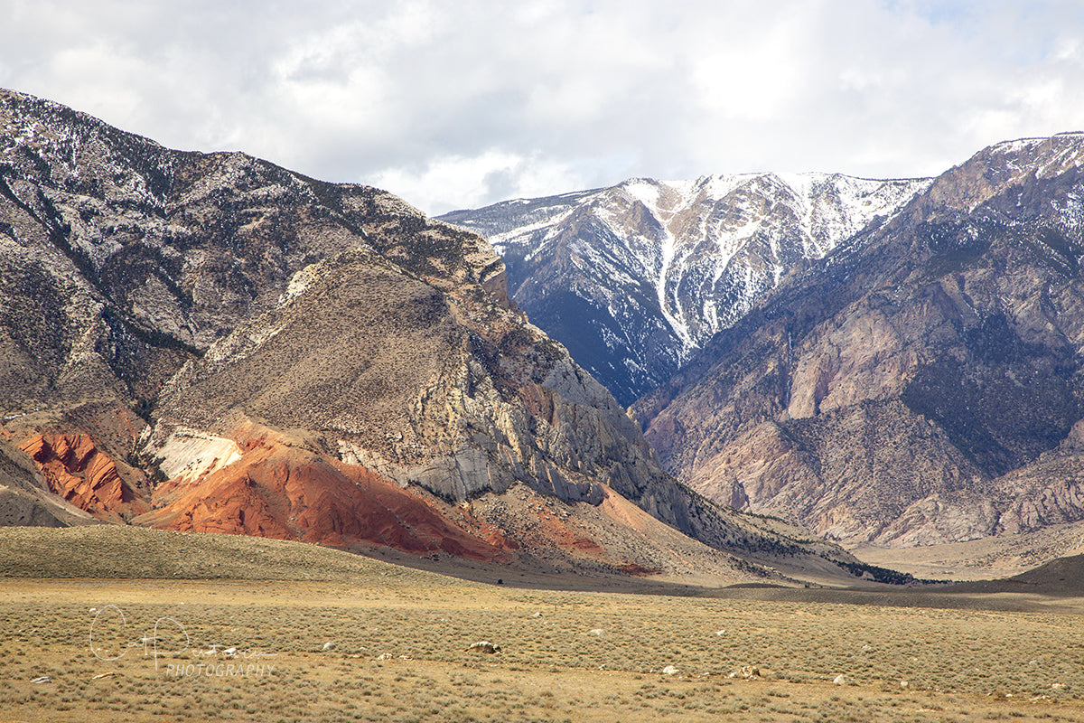 ROCKY MOUNTAIN COLORS