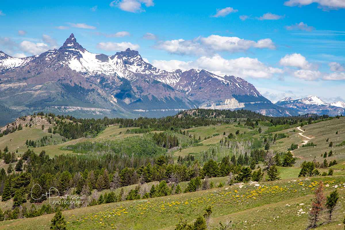 SUMMER PEAKS