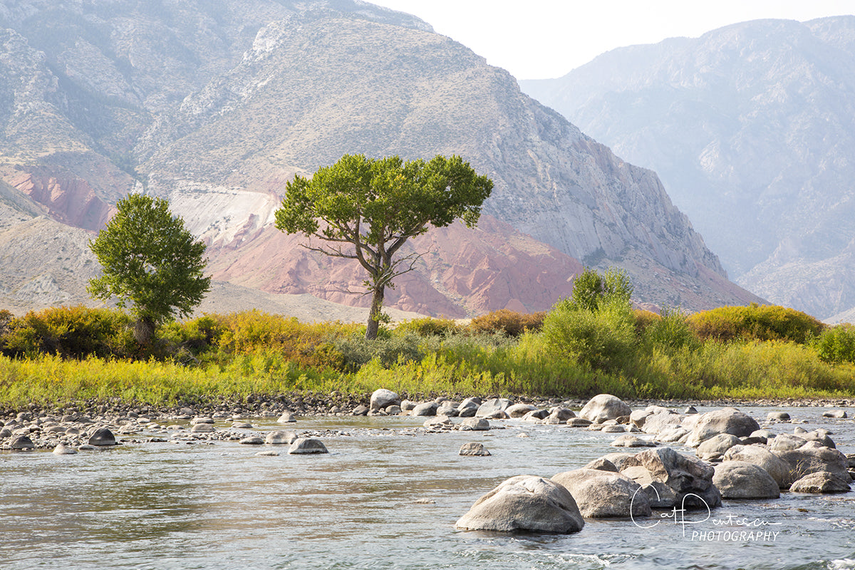 Scenery Landscape Clarks Fork Canyon Yellowstone River image available on canvas or metal. Cat Pentescu Photography