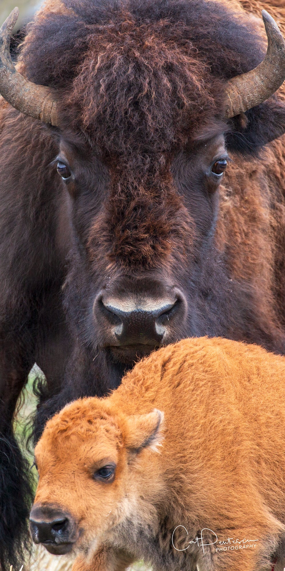 PROTECTED