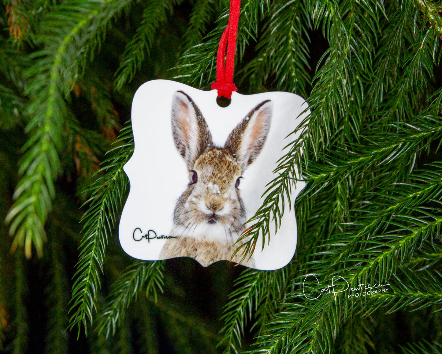 Ornament - SNOW SWEET - Metal
