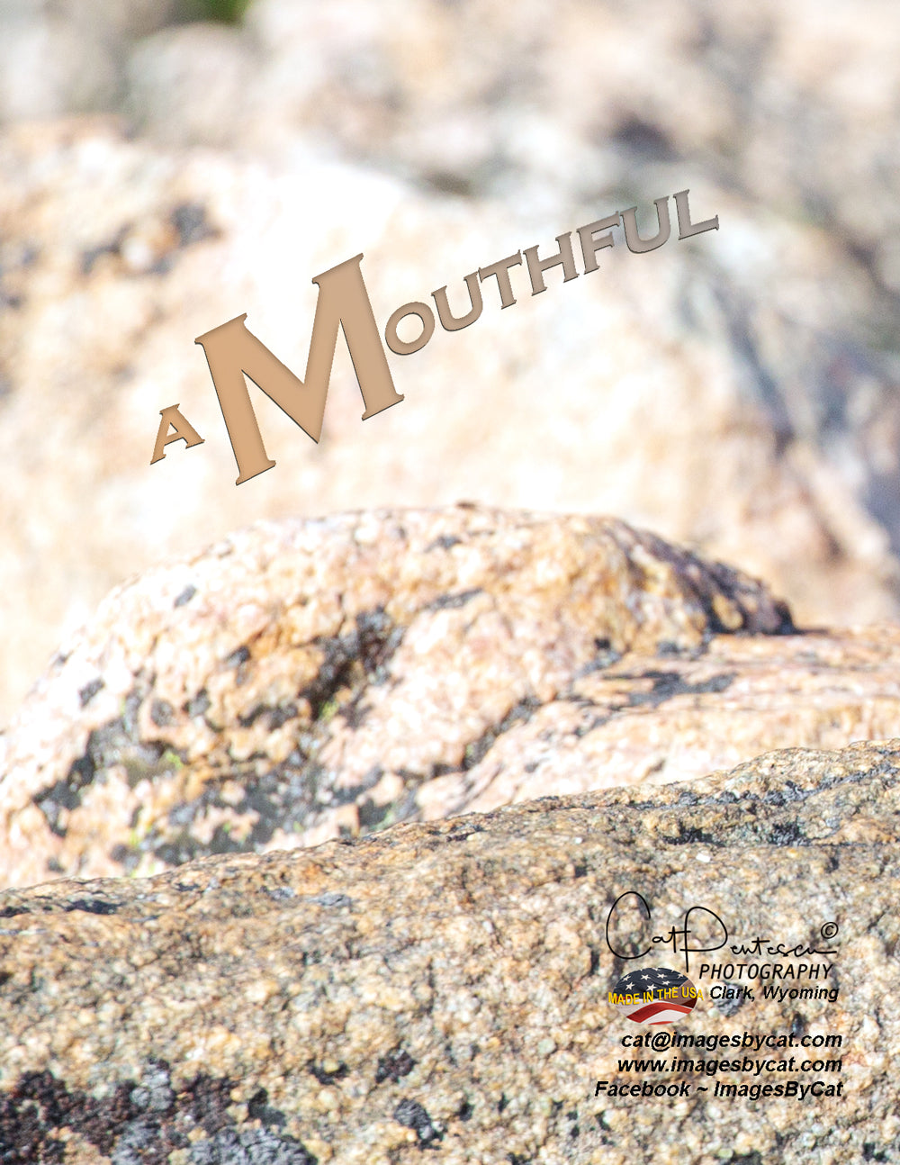 Note Cards - A MOUTHFUL